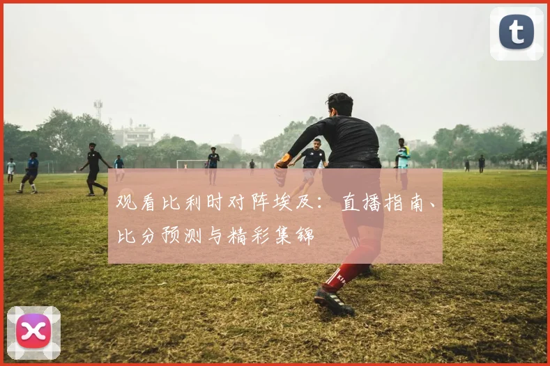观看比利时对阵埃及：直播指南、比分预测与精彩集锦