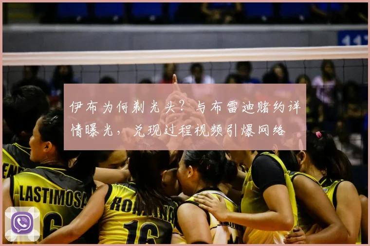 伊布为何剃光头？与布雷迪赌约详情曝光，兑现过程视频引爆网络